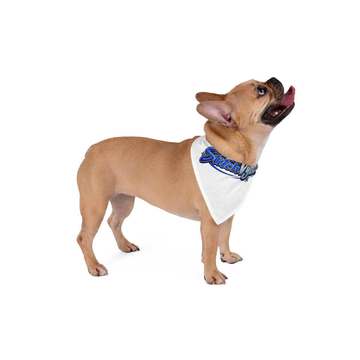 StitchVybzz Logo Pet Bandana